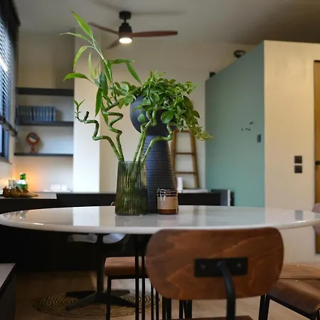 Tranquil Loft In Historic Centre Athens
