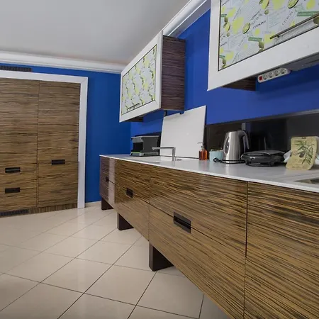 Spacious Modern With Great Rooftop View Apartment