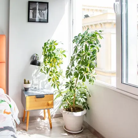 Ermou 18 Mosaics Boutique Apartment