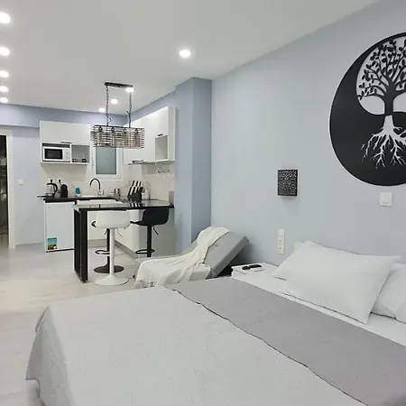 Cozy With Garden Near Town Center, Fully Renovated. Apartment Athens
