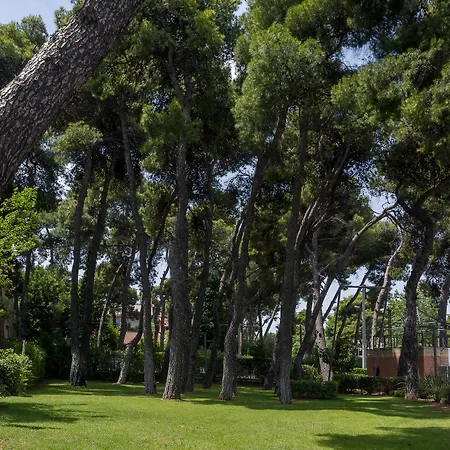 Domotel Kastri Hotel 4*