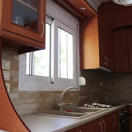 Διαμέρισμα Penthouse With Acropolis View