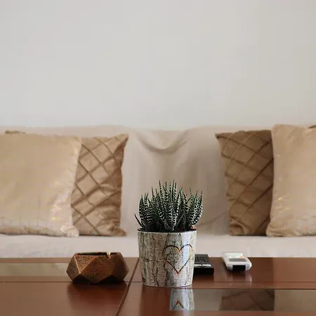 Penthouse With Acropolis View Διαμέρισμα