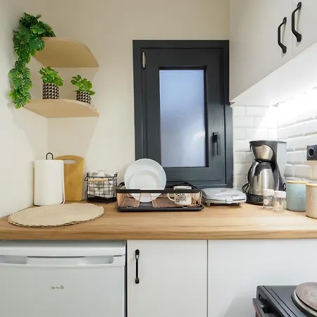 Apartment Athenian With Garden!