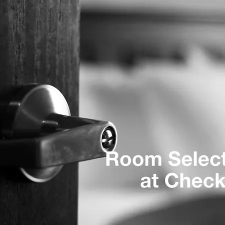 Hotel Economy