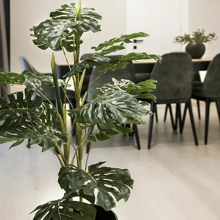 Ultra Chic Modern 4 Bedrooms In Apartment *
