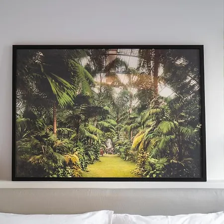 The Nest Apartment