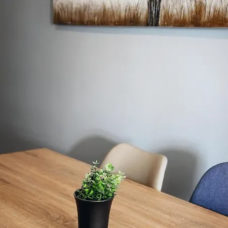 Cozy 2ba In Historic Center Appartement *