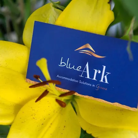 Blue Ark Acropolis Spirit Διαμέρισμα Αθήνα
