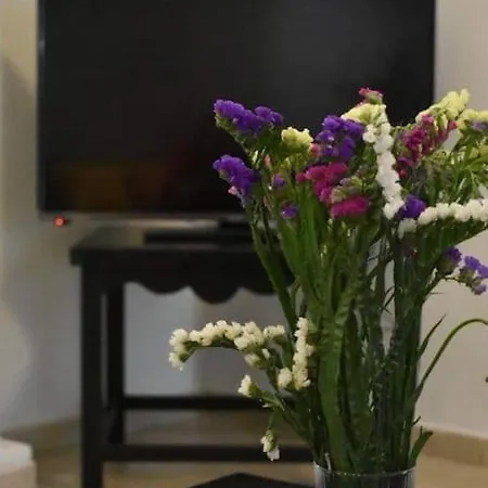 Central Apartment *