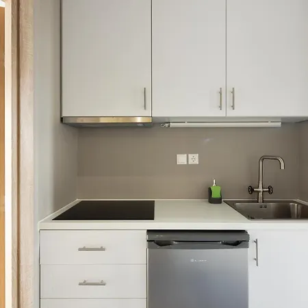 Apartment Designed 2 - 15' Walk To Acropolis