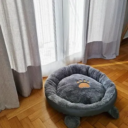 Simple & Noble Apartment