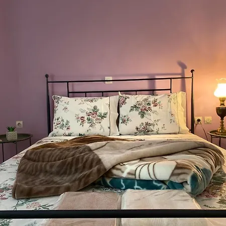 The Traditional Apartment