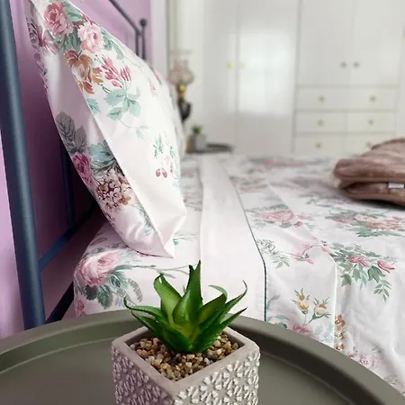 The Traditional Apartment *
