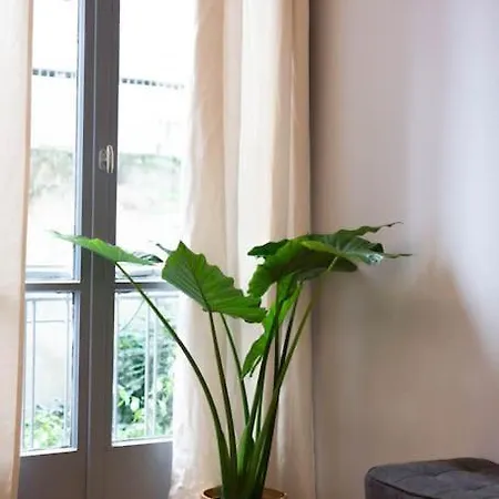 Apartment Blue Truffle *