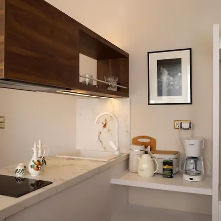 Olvar Penthouse Apartment Athens