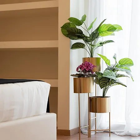 Acropolis Prestige Apartment *