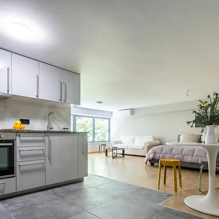 Apartment Newly Cosy Renovated Downtown