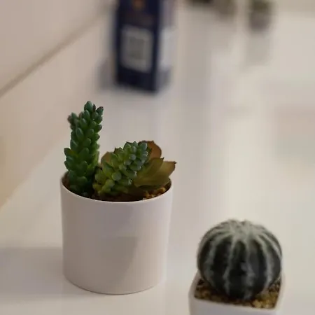 Medluxe Cozy Apartment! Apartment