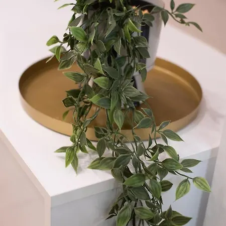 Lägenhet Medluxe Cozy Apartment! *