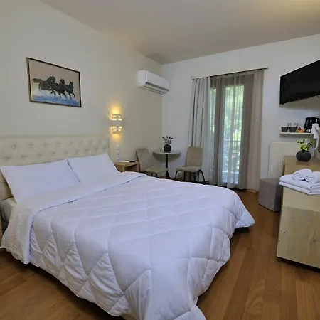 Hotel Dryades & Orion 2*