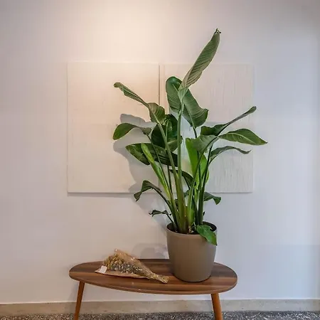 Botanical