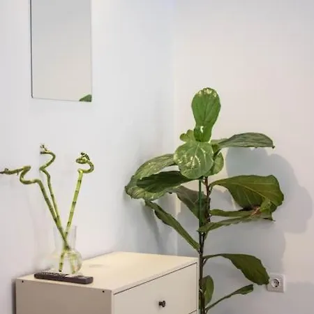 Botanical *