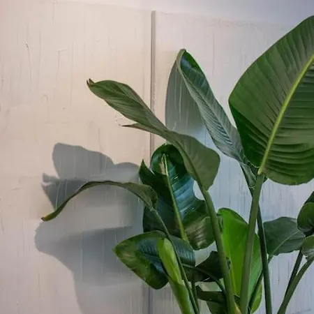 Botanical Apartment Athens