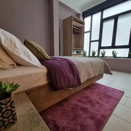 Ellis Apartment