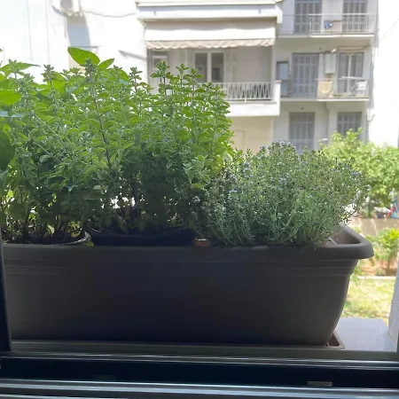 Apartment Sapfo Luxury 1 In