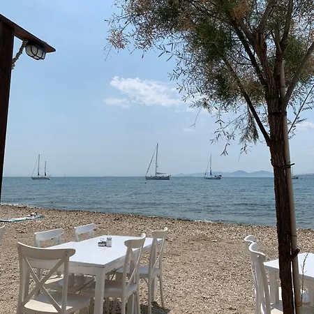 Lovely Faliro Next To The Sea.