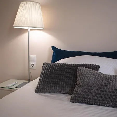 Homey Comfort Apartment