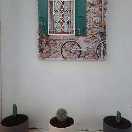 Welcome To The Jungle Apartment *