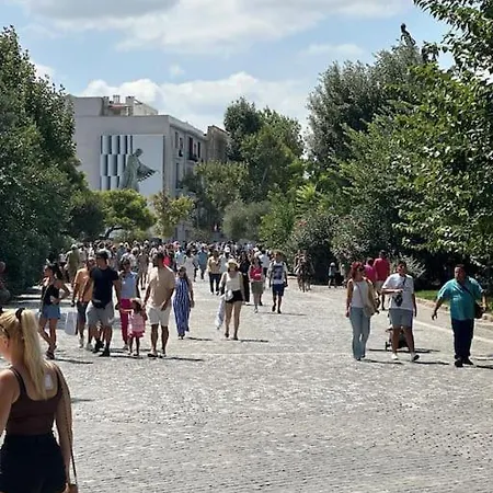 Contemporary 200m From Acropolis 100mbps Netflix