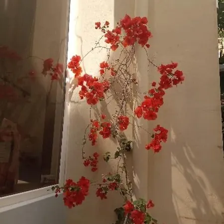 Apartment Annitas Luxury Oasis