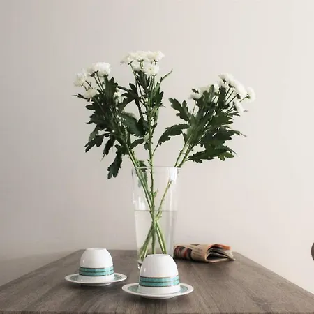 Contemporary Athenian Flat *