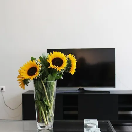 Contemporary Athenian Flat Apartment *