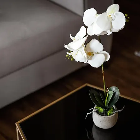 Glyfada Premium Apartment Athens
