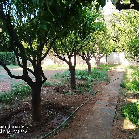 Quiet With A Garden Apartment *