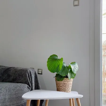 1-bedroom Nova * Athens