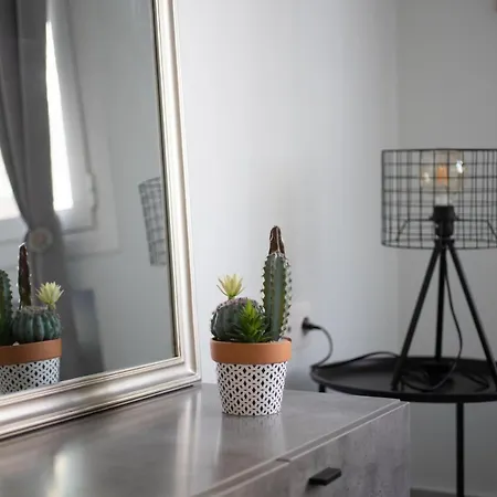 Newly Renovated Cozy Downtown Apartment