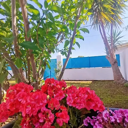 Διαμέρισμα Wsd Artemis Luxury 4bedroom Holiday With Balcony And Private Parking Αθήνα