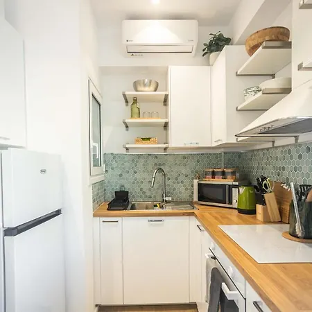 Apartment The Olive - Renovated Penthouse - Kipseli Athens