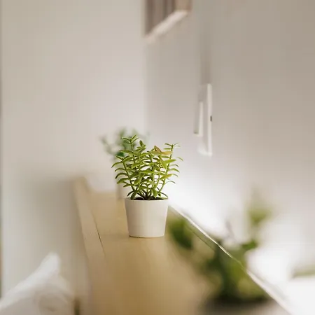 Modern & Stylish 1 Bdr Apartment *