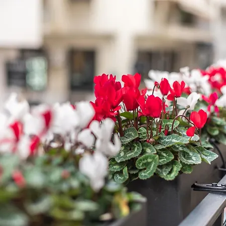 The Rare Luxury Gem Near Syntagma, Kolonaki Square Apartment