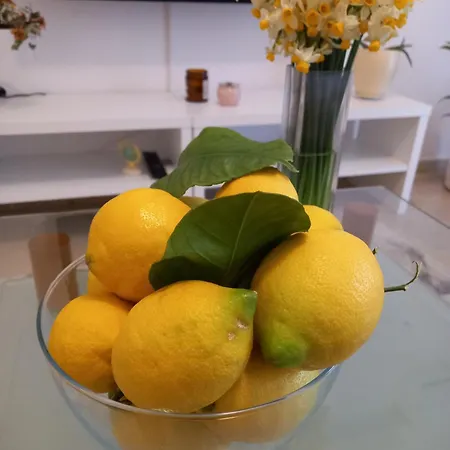 Citrus Dream