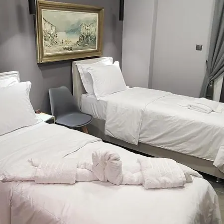 Dione Luxury Business In The Heart Of Apartment Athens