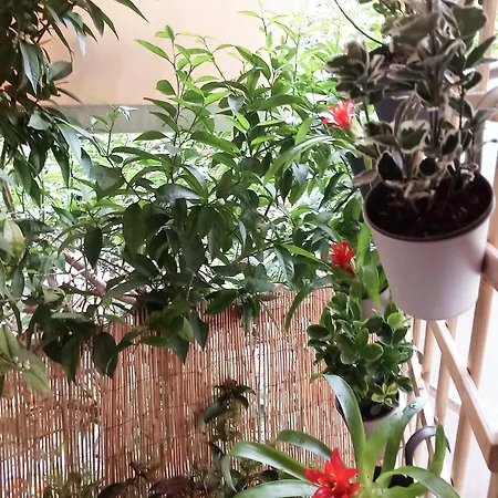 Apartment Cozy In Athens
