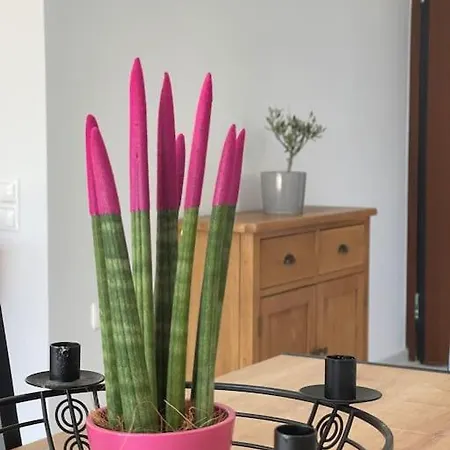 Apartment Glyfada 3 Bed: Modern & Cozy
