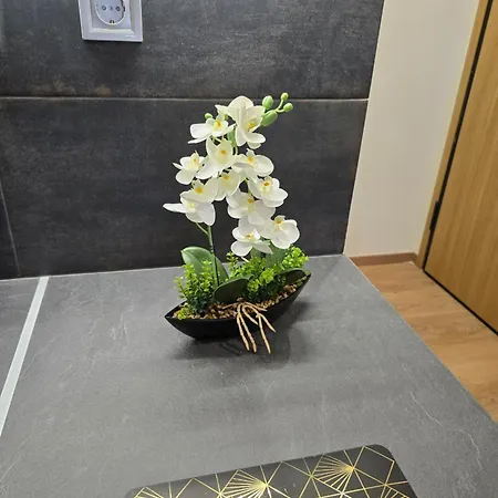 σύγχρονο στα πατήσια κέντρο της αθήνας! Apartment